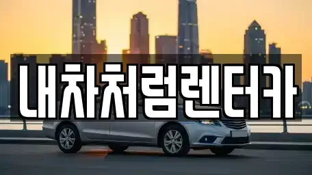 대구광역시 달서구 월암동 렌트카 전문 내차처럼렌터카