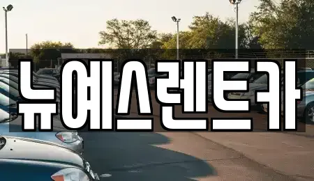 대구광역시 달서구 월암동 렌트카 전문 뉴예스렌트카