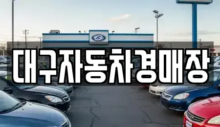 대구광역시 달서구 월암동 중고차 전문 대구자동차경매장