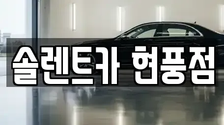 대구광역시 달성군 유가읍 렌트카 전문 솔렌트카 현풍점