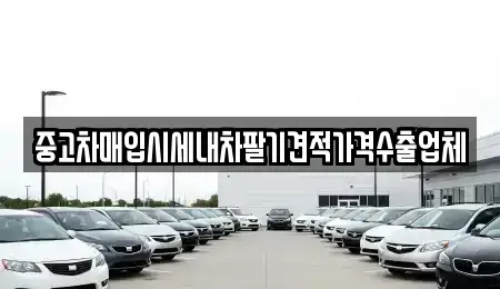 대구광역시 동구 내곡동 중고차 전문 중고차매입시세내차팔기견적가격수출업체