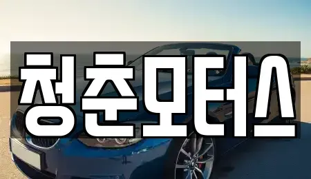 대구광역시 동구 내곡동 중고차 전문 청춘모터스