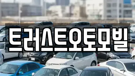 대구광역시 동구 내곡동 중고차 전문 트러스트오토모빌