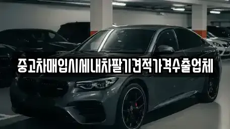 대구광역시 동구 미대동 중고차매매 전문 중고차매입시세내차팔기견적가격수출업체