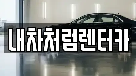 대구광역시 동구 방촌동 렌트카 전문 내차처럼렌터카