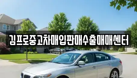 대구광역시 동구 방촌동 중고차매매 전문 김프로중고차매입판매수출매매센터