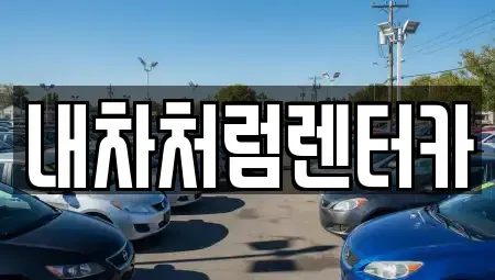대구광역시 북구 침산동 렌트카 전문 내차처럼렌터카