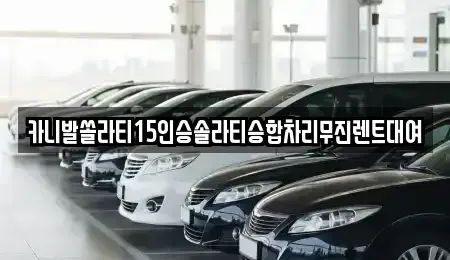 대구광역시 북구 침산동 렌트카 전문 카니발쏠라티15인승솔라티승합차리무진렌트대여