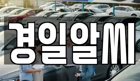 대구광역시 수성구 상동 렌트카 전문 경일알씨
