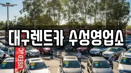 대구광역시 수성구 상동 렌트카 전문 대구렌트카 수성영업소