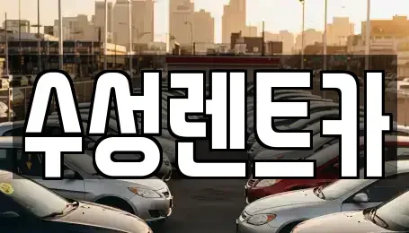 대구광역시 수성구 상동 렌트카 전문 수성렌트카