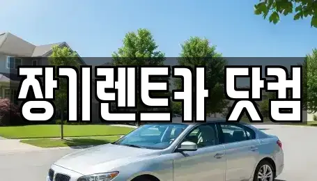 대구광역시 수성구 상동 장기렌트카 전문 장기렌트카 닷컴