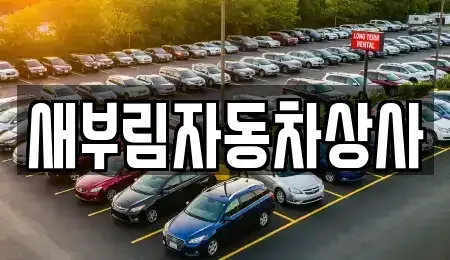 대구광역시 수성구 상동 중고차매매,단기렌트카,중고차매입,장기렌트카,중고차,렌트카