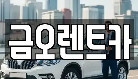대구광역시 중구 용덕동 렌트카 전문 금오렌트카