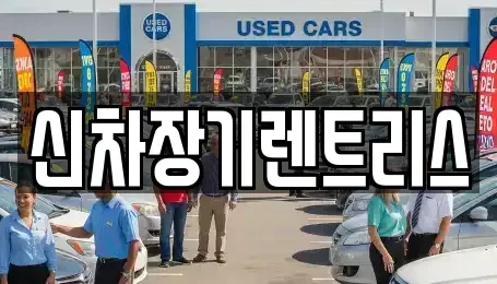 대구광역시 중구 용덕동 렌트카 전문 신차장기렌트리스