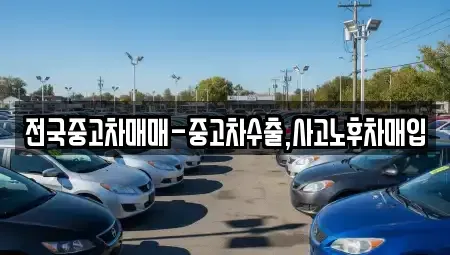 대구광역시 중구 용덕동 중고차 전문 전국중고차매매-중고차수출,사고노후차매입