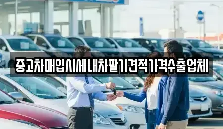 대구광역시 중구 용덕동 중고차매입 전문 중고차매입시세내차팔기견적가격수출업체