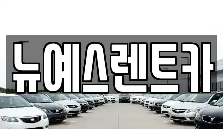대구광역시 중구 향촌동 렌트카 전문 뉴예스렌트카