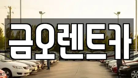 대구광역시 중구 향촌동 장기렌트카 전문 금오렌트카