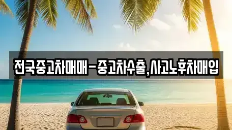 대구광역시 중구 향촌동 중고차 전문 전국중고차매매-중고차수출,사고노후차매입