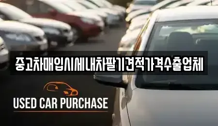 대구광역시 중구 향촌동 중고차 전문 중고차매입시세내차팔기견적가격수출업체