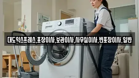 대도익스프레스,포장이사,보관이사,사무실이사,반포장이사,일반