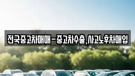 대전 유성구 신동 단기렌트카,중고차매입,중고차매매,중고차,렌트카,장기렌트카
