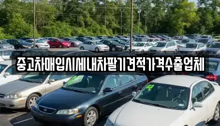 대전광역시 대덕구 목상동 중고차매입 전문 중고차매입시세내차팔기견적가격수출업체