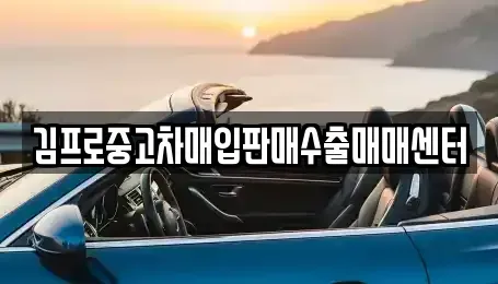대전광역시 동구 자양동 중고차 전문 김프로중고차매입판매수출매매센터