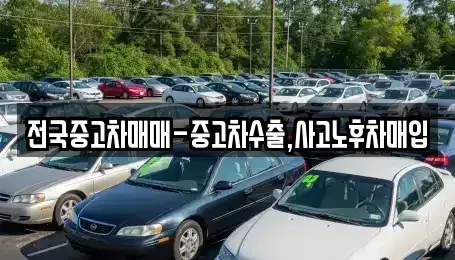 대전광역시 동구 자양동 중고차 전문 전국중고차매매-중고차수출,사고노후차매입