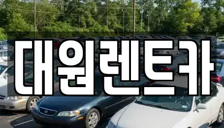 대전광역시 서구 갈마동 단기렌트카 전문 대원렌트카