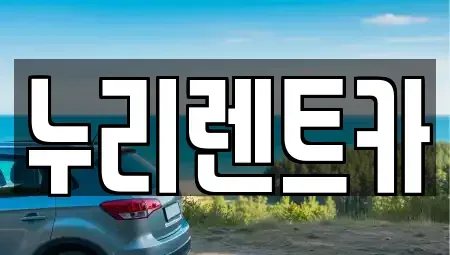 대전광역시 서구 갈마동 렌트카 전문 누리렌트카