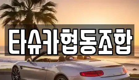 대전광역시 서구 갈마동 장기렌트카 전문 타슈카협동조합