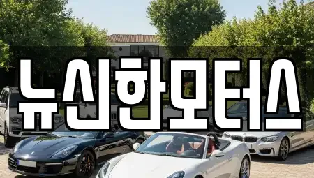 대전광역시 서구 도안동 중고차 전문 뉴신한모터스