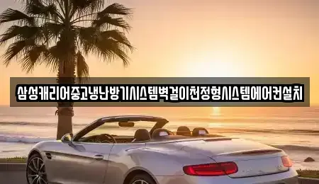 대전광역시 서구 도안동 중고차매입 전문 삼성캐리어중고냉난방기시스템벽걸이천정형시스템에어컨설치