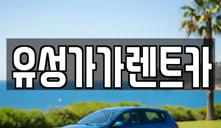 대전광역시 유성구 관평동 렌트카 전문 유성가가렌트카