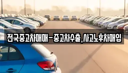 대전광역시 유성구 관평동 중고차매입 전문 전국중고차매매-중고차수출,사고노후차매입