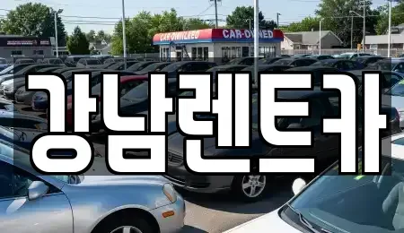 대전광역시 유성구 금고동 렌트카 전문 강남렌트카