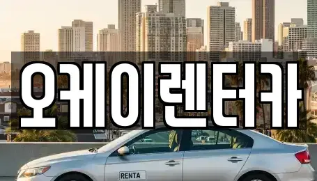 대전광역시 유성구 금고동 렌트카 전문 오케이렌터카