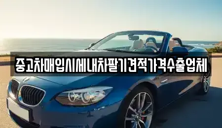 대전광역시 유성구 금고동 중고차매입 전문 중고차매입시세내차팔기견적가격수출업체
