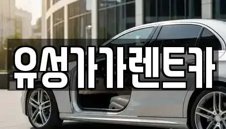 대전광역시 유성구 장동 렌트카 전문 유성가가렌트카