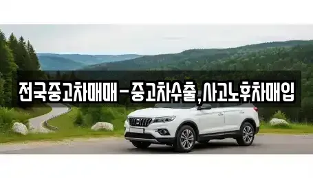 대전광역시 유성구 장동 중고차매입 전문 전국중고차매매-중고차수출,사고노후차매입