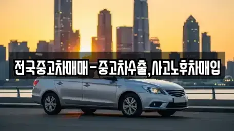 대전광역시 유성구 장동 중고차매입 전문 전국중고차매매-중고차수출,사고노후차매입