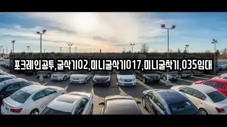 대전광역시 유성구 장동 중고차매입 전문 포크레인공투,굴삭기02,미니굴삭기017,미니굴착기,035임대