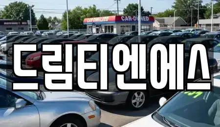 대전광역시 유성구 탑립동 중고차 전문 드림티엔에스