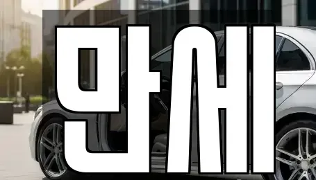 대전광역시 중구 산성동 렌트카 전문 만세