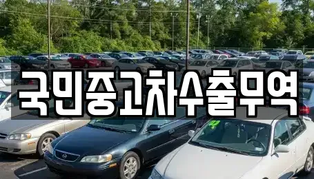 대전광역시 중구 산성동 중고차매매 전문 국민중고차수출무역