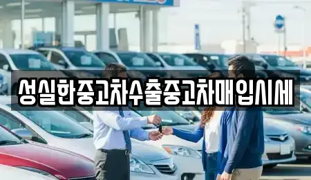 대전광역시 중구 산성동 중고차매입 전문 성실한중고차수출중고차매입시세