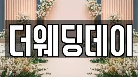 웨딩드레스 전문 속초시 중앙동 안내 5업체
