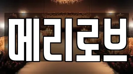 메리로브